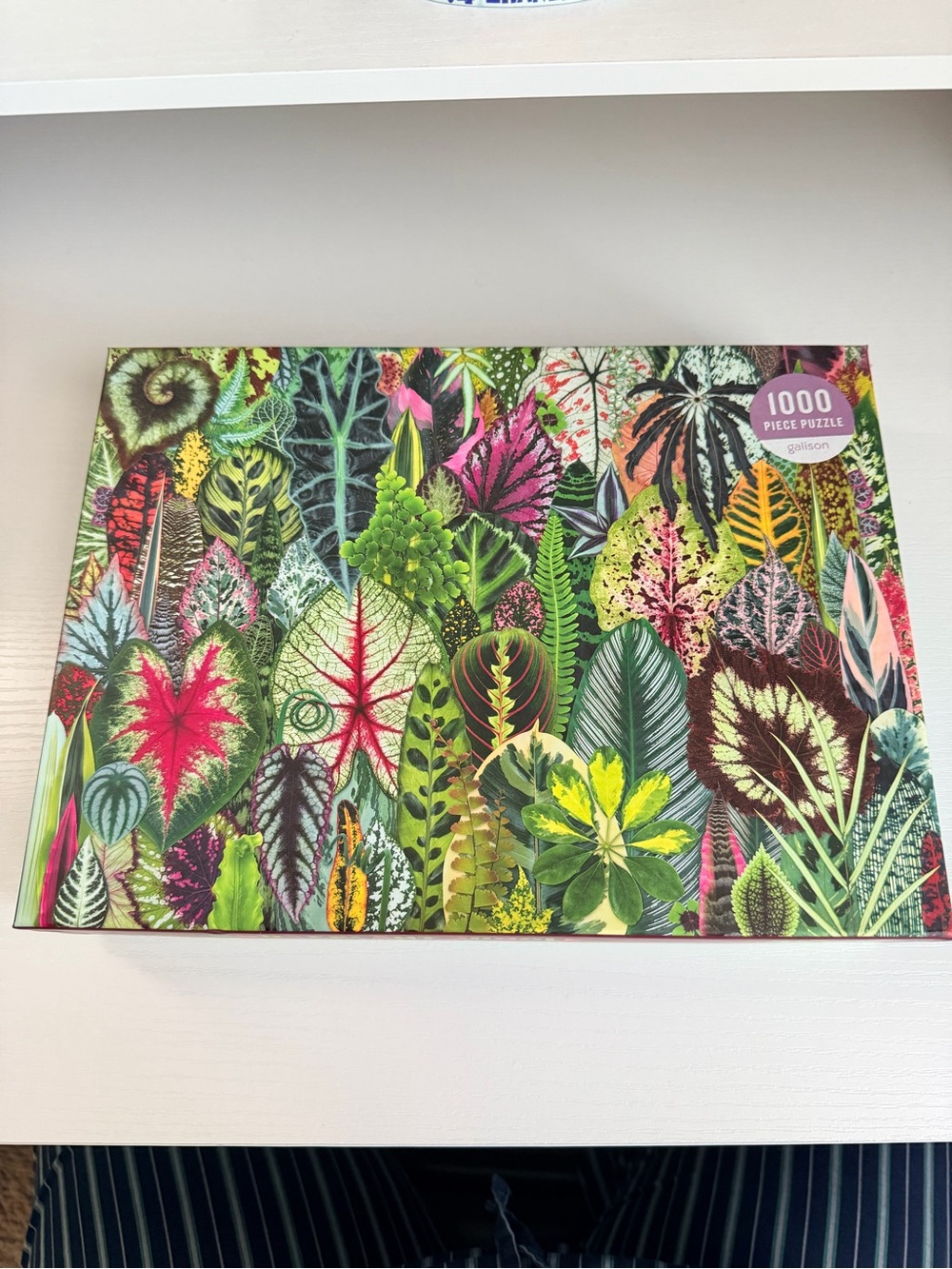 Galison Houseplant Jungle 1000 Piece Puzzle